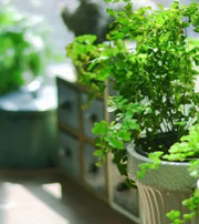 杭州专属于你的开运指南，助你鸿运当头福满身！