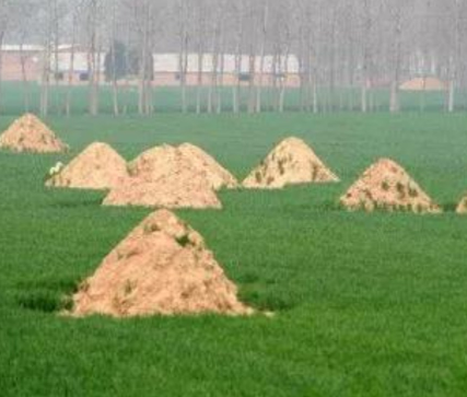 杭州阴宅风水：形峦三十六绝